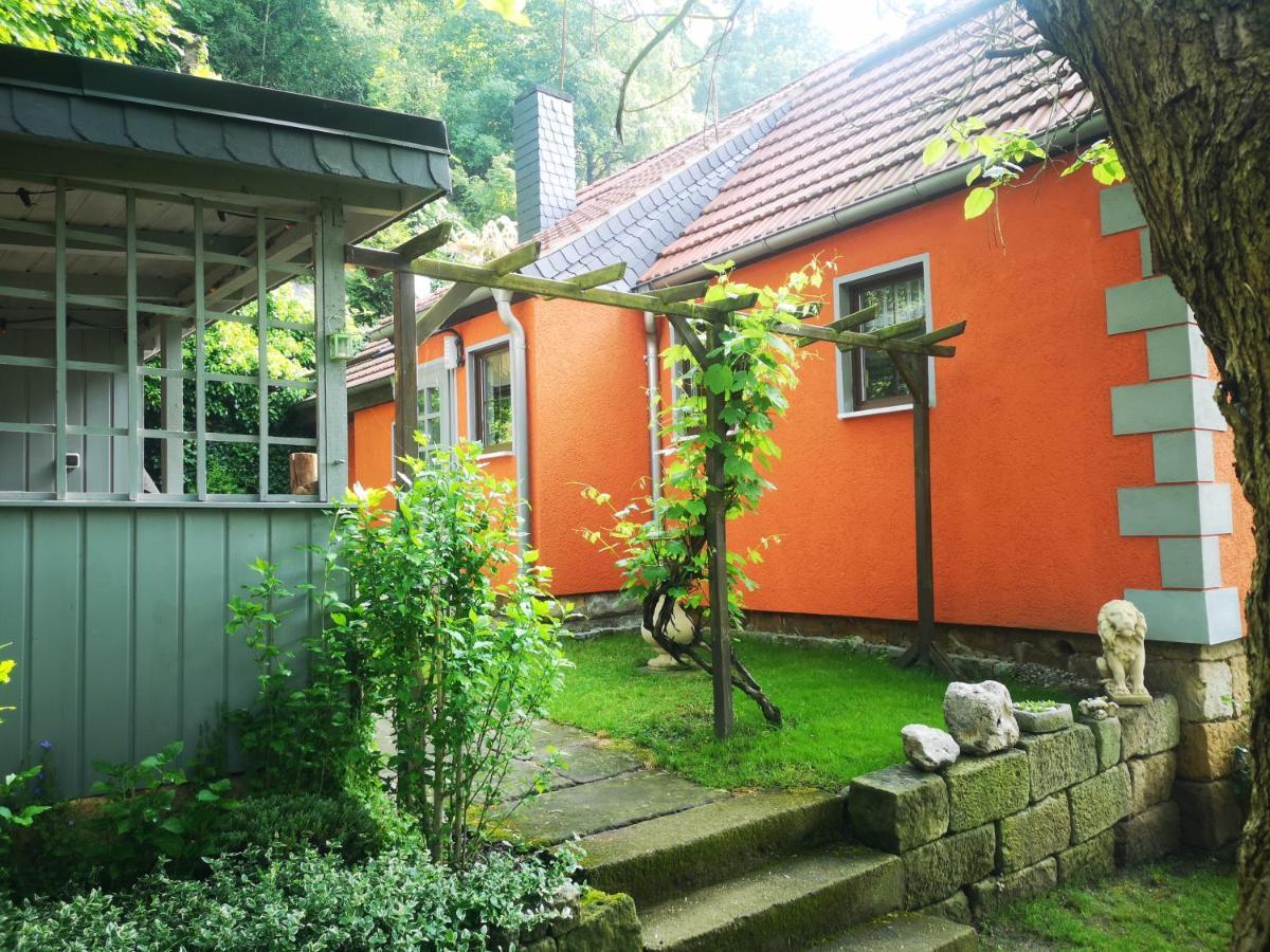 Ferienhaus Franz - An Der Elbe, Mit Grossem Garten Villa Pirna Ngoại thất bức ảnh