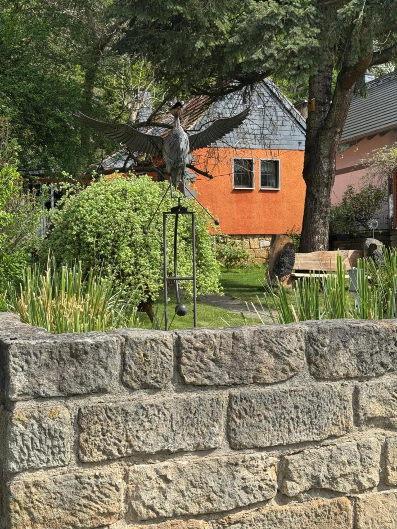 Ferienhaus Franz - An Der Elbe, Mit Grossem Garten Pirna Ngoại thất bức ảnh